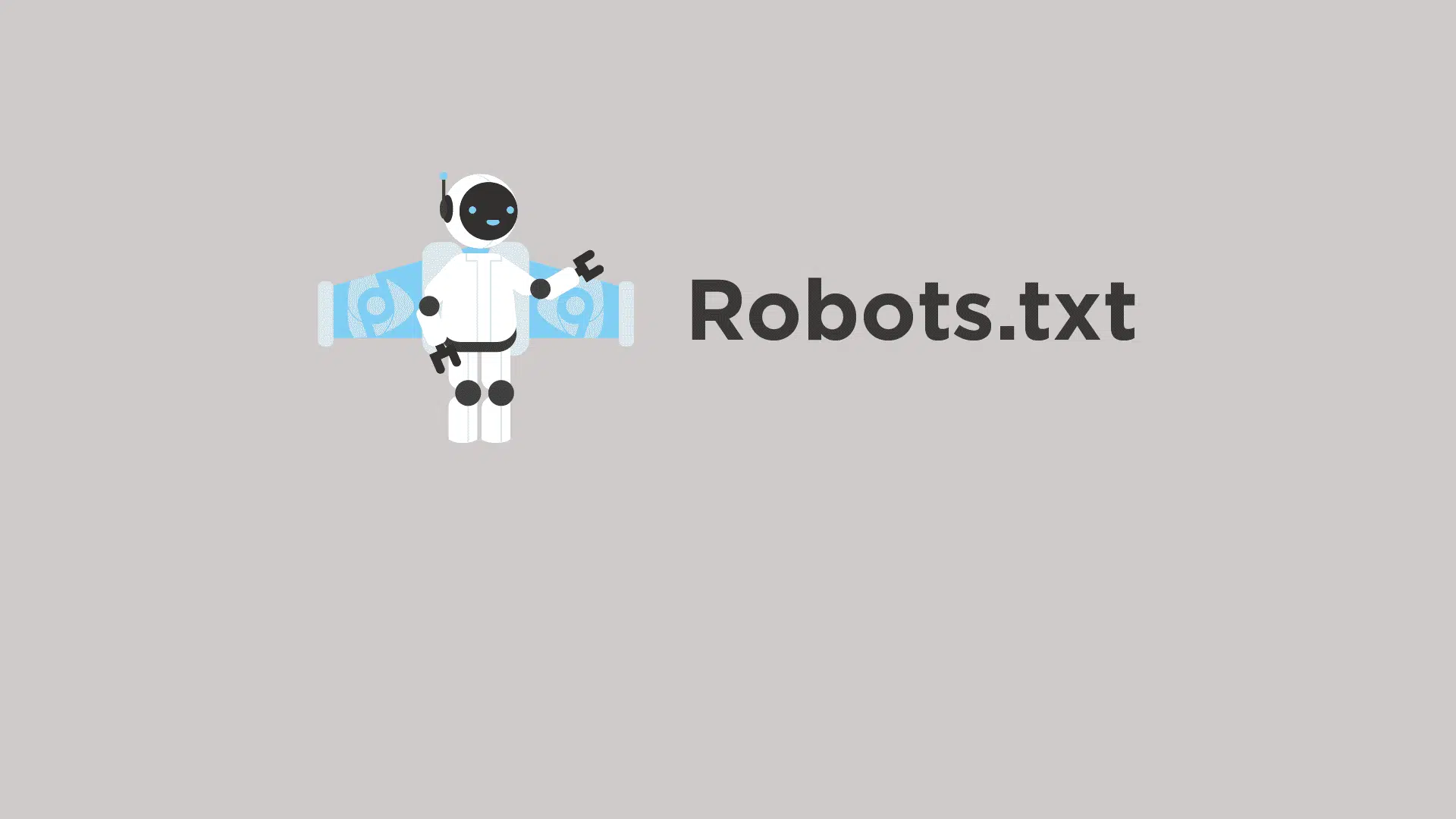 trouver le fichier robots txt 